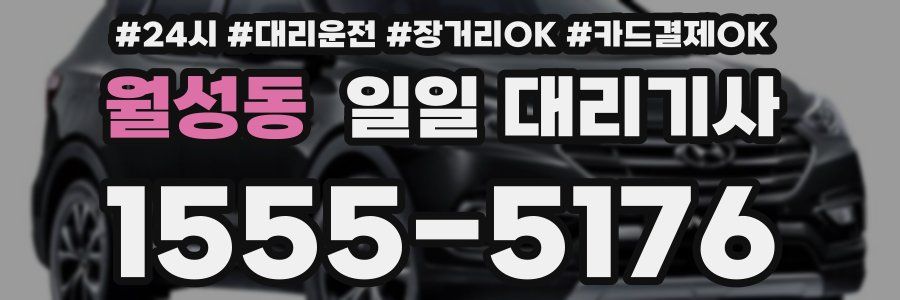 월성동 일일 대리기사