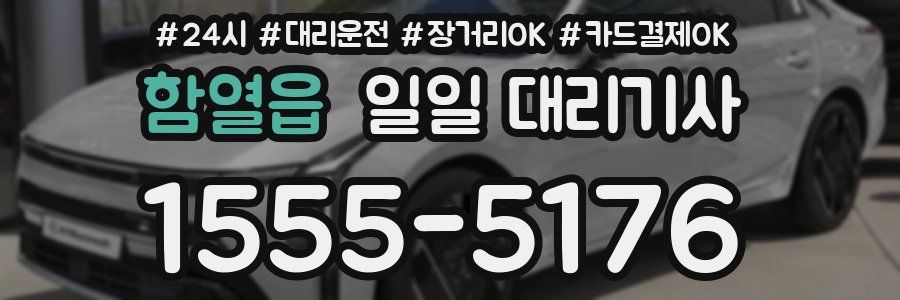 함열읍 일일 대리기사