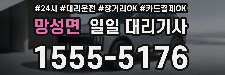 망성면 일일 대리기사