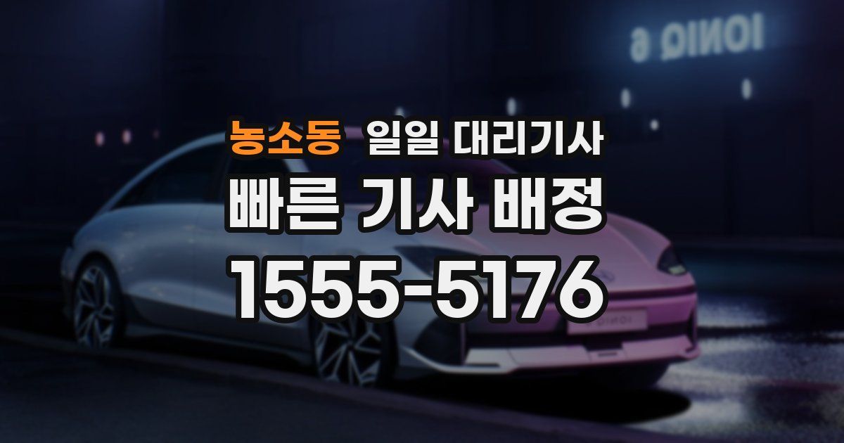 농소동 일일 대리기사