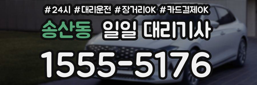 송산동 일일 대리기사