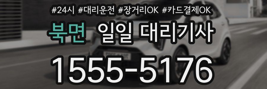 북면 일일 대리기사
