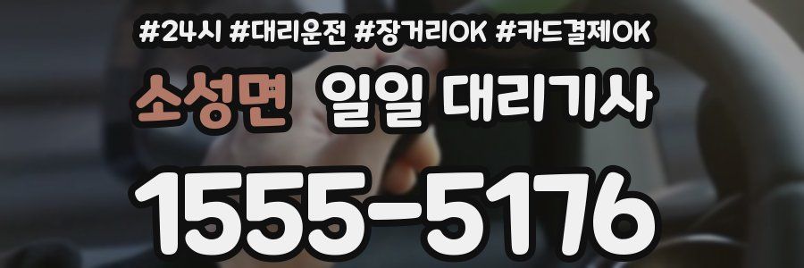 소성면 일일 대리기사