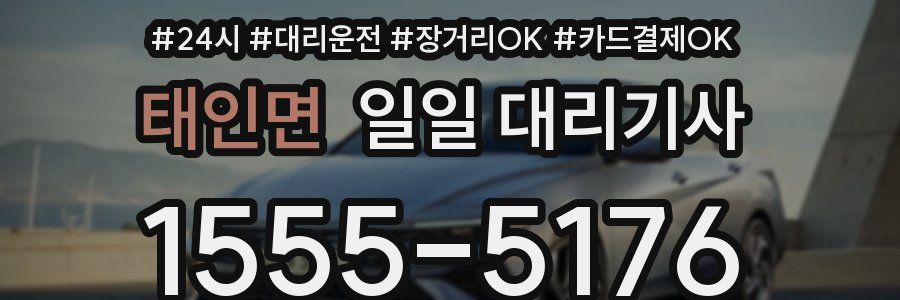태인면 일일 대리기사