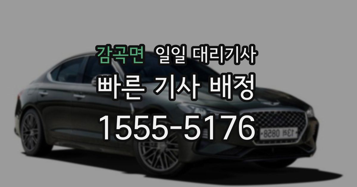 감곡면 일일 대리기사