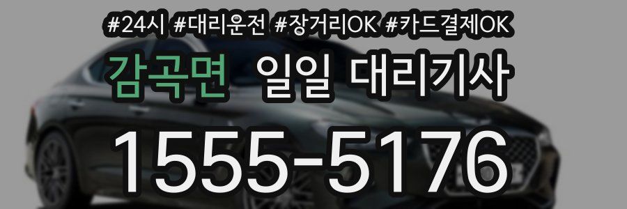 감곡면 일일 대리기사