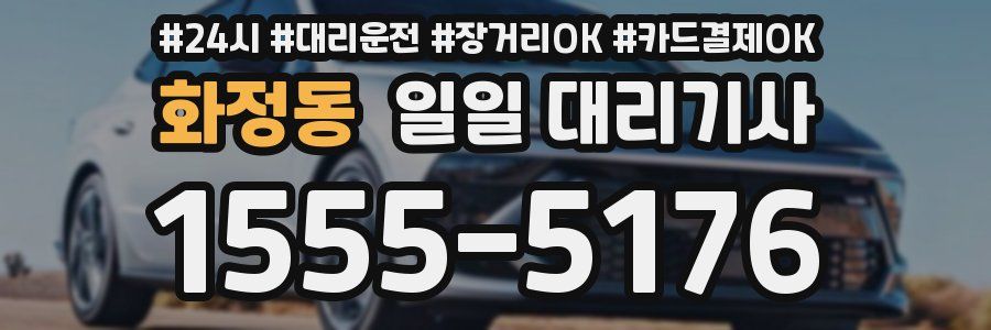 화정동 일일 대리기사