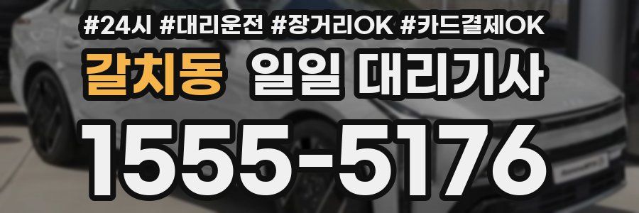 갈치동 일일 대리기사