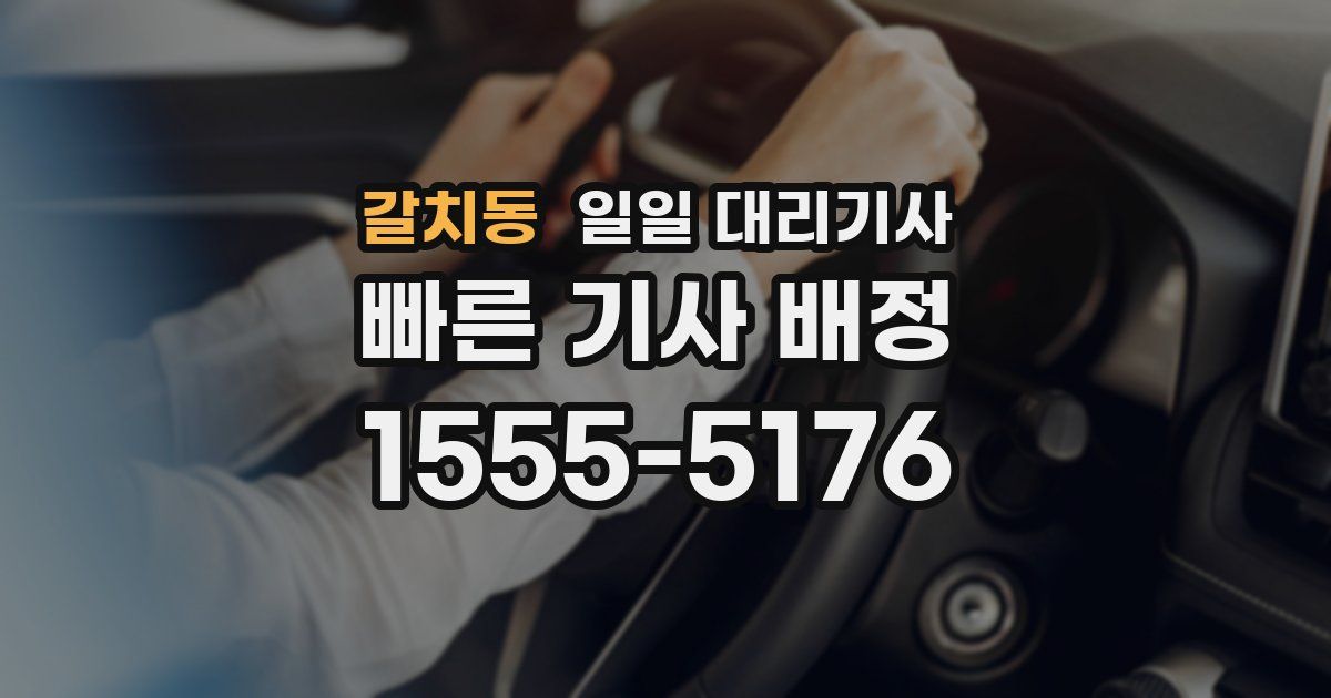 갈치동 일일 대리기사