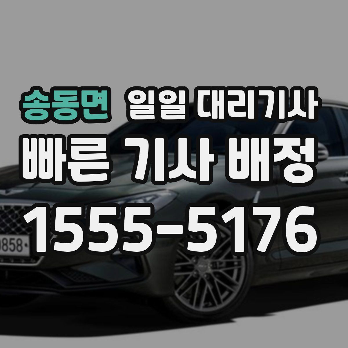 송동면 일일 대리기사