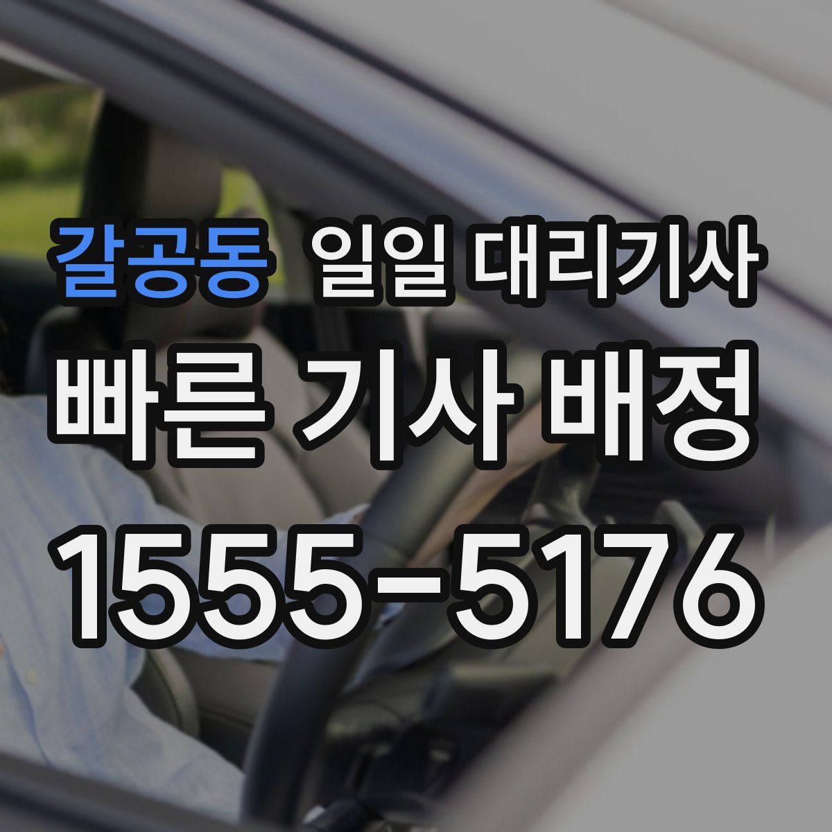 갈공동 일일 대리기사