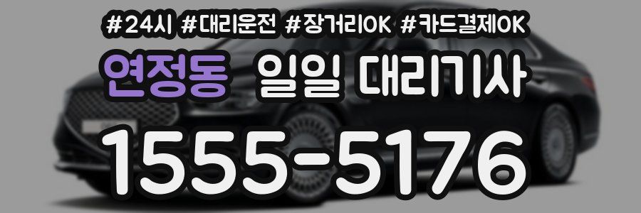 연정동 일일 대리기사