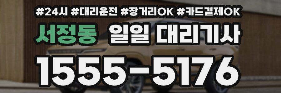 서정동 일일 대리기사