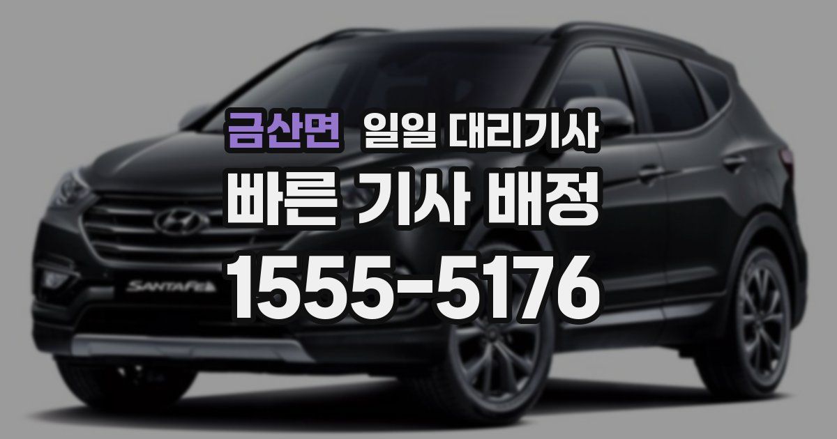 금산면 일일 대리기사