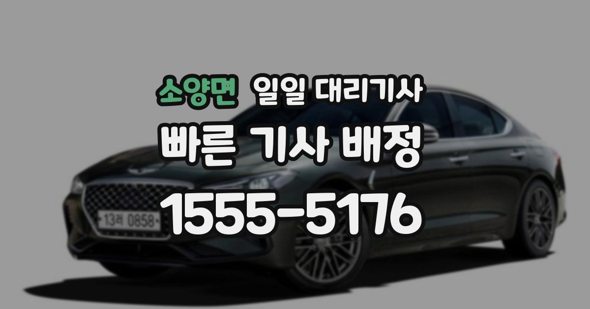 소양면 일일 대리기사