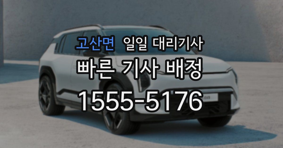 고산면 일일 대리기사