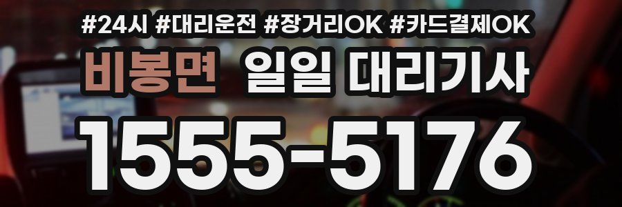 비봉면 일일 대리기사