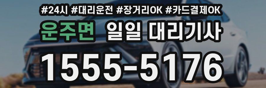 운주면 일일 대리기사