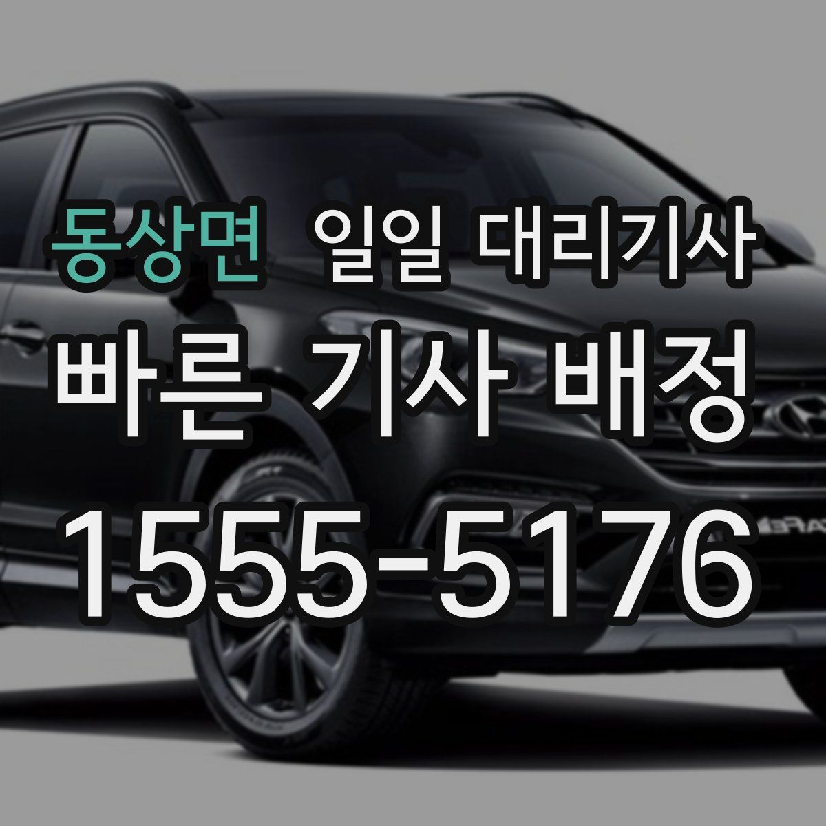 동상면 일일 대리기사