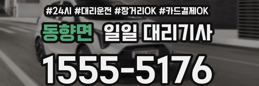 동향면 일일 대리기사