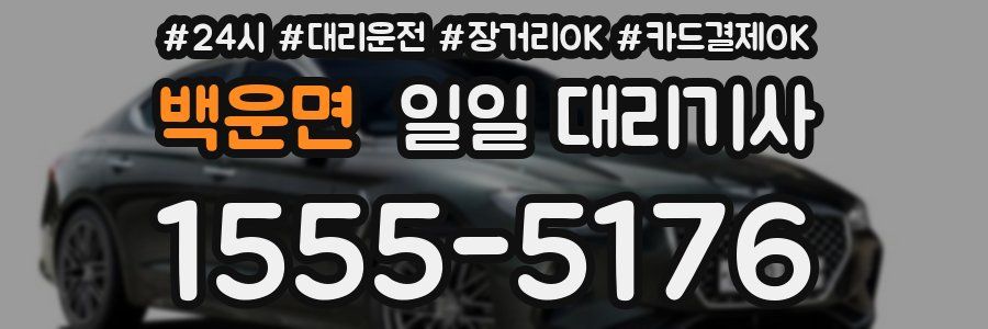 백운면 일일 대리기사
