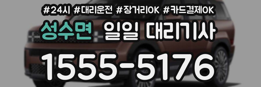 성수면 일일 대리기사