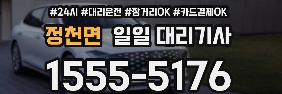 정천면 일일 대리기사