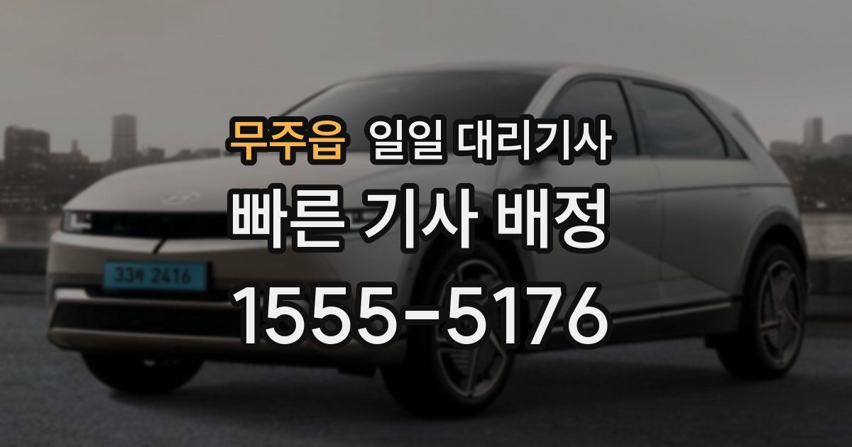 무주읍 일일 대리기사