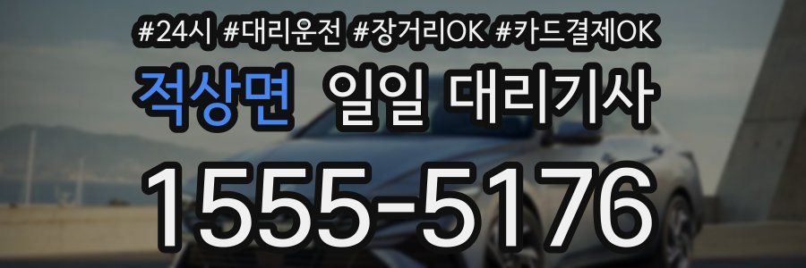 적상면 일일 대리기사