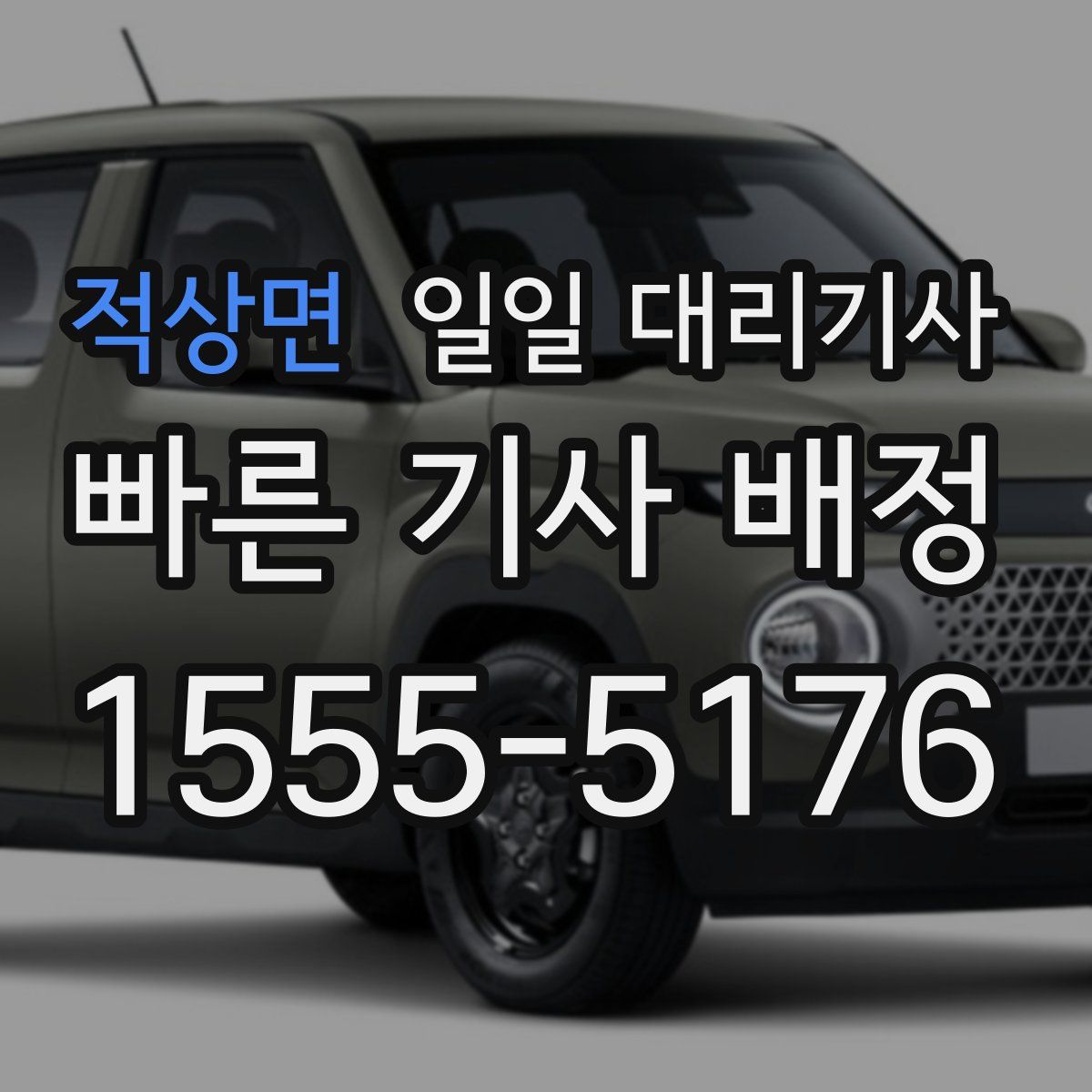 적상면 일일 대리기사