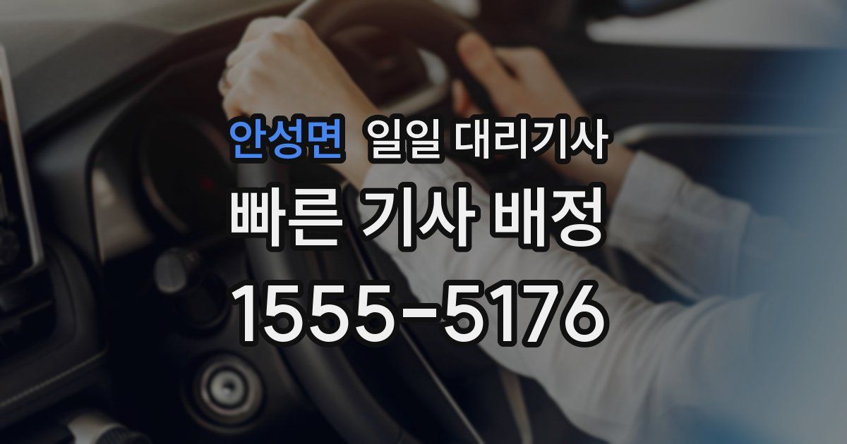 안성면 일일 대리기사