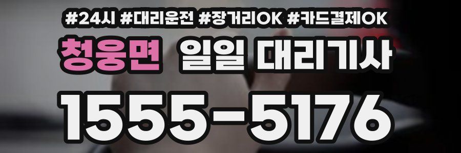 청웅면 일일 대리기사