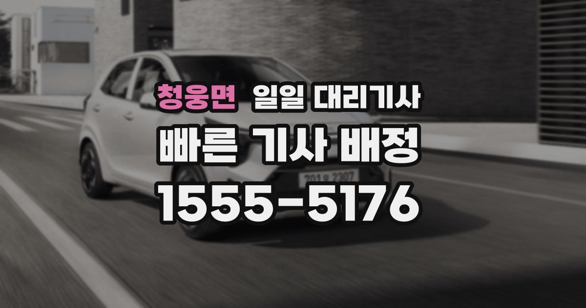 청웅면 일일 대리기사
