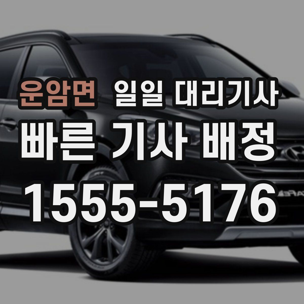 운암면 일일 대리기사