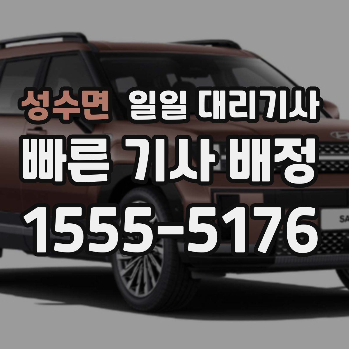 성수면 일일 대리기사