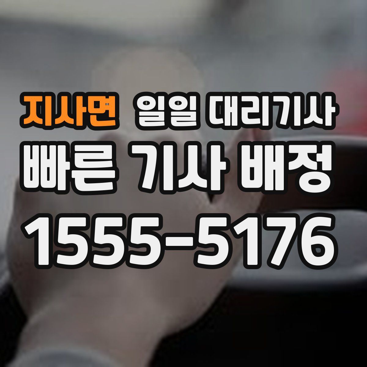 지사면 일일 대리기사