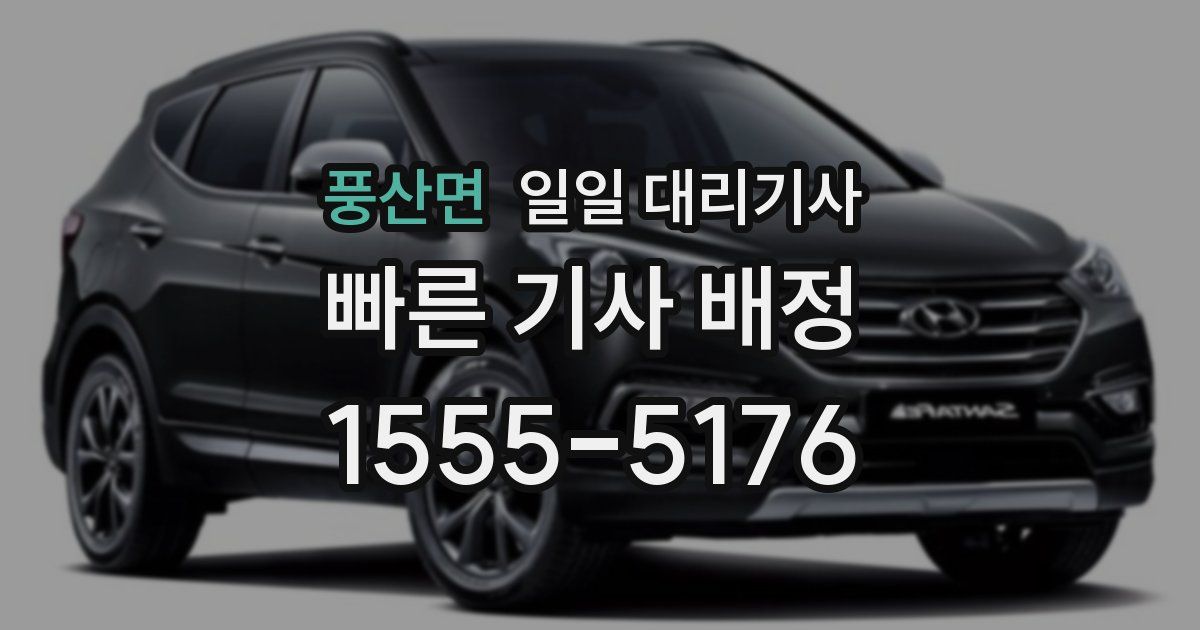 풍산면 일일 대리기사