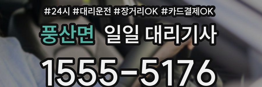 풍산면 일일 대리기사