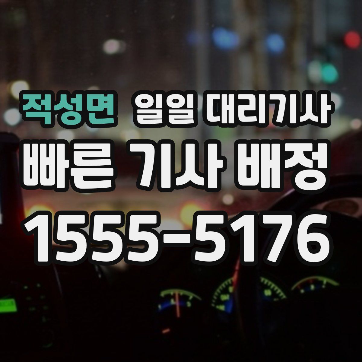 적성면 일일 대리기사