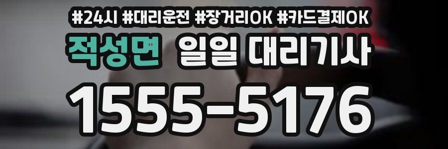 적성면 일일 대리기사