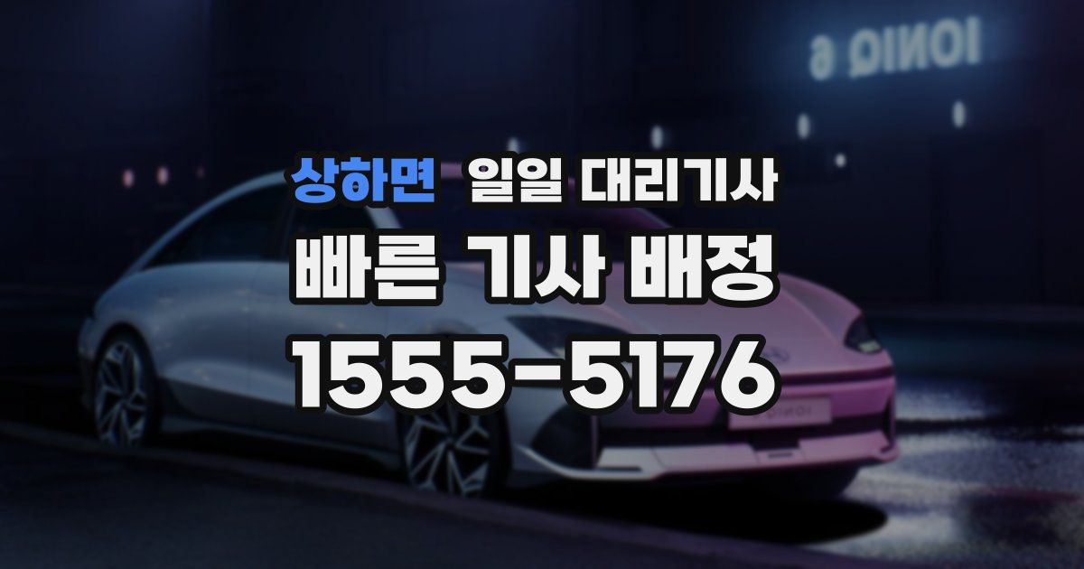 상하면 일일 대리기사