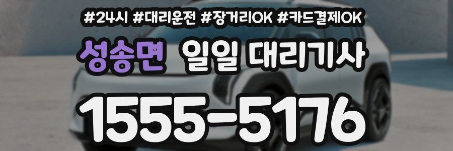 성송면 일일 대리기사