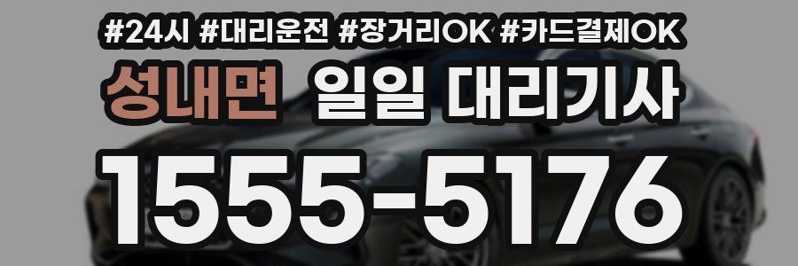 성내면 일일 대리기사