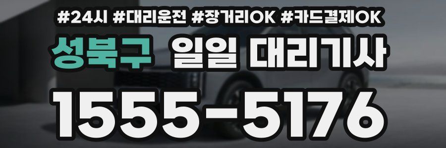 성북구 일일 대리기사