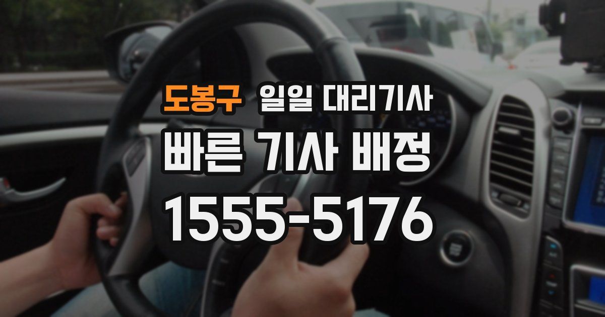 도봉구 일일 대리기사