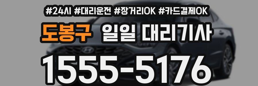 도봉구 일일 대리기사