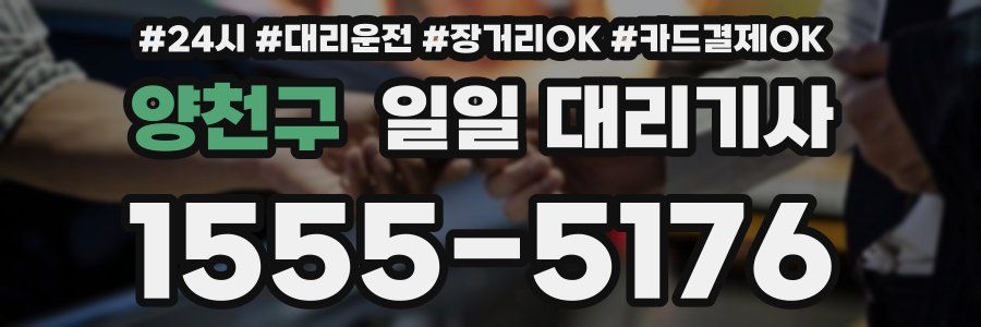 양천구 일일 대리기사