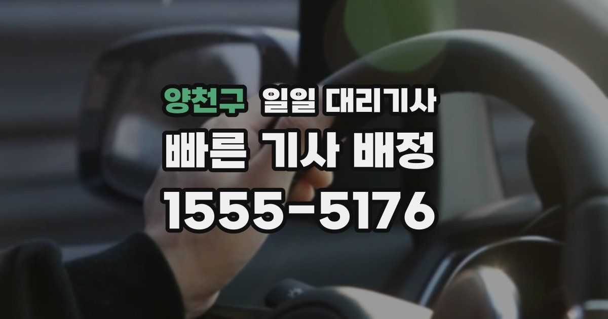 양천구 일일 대리기사