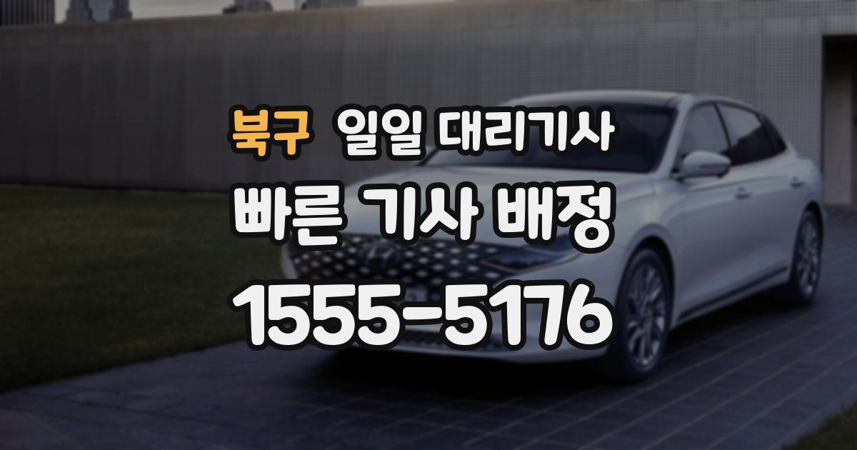 북구 일일 대리기사