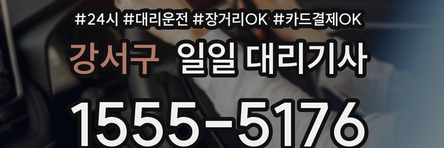 강서구 일일 대리기사